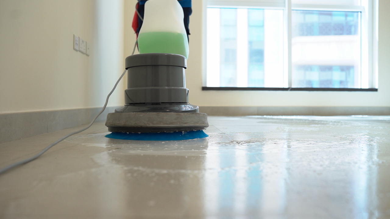 Sofa, Carpet and Pre-Moving Cleaning