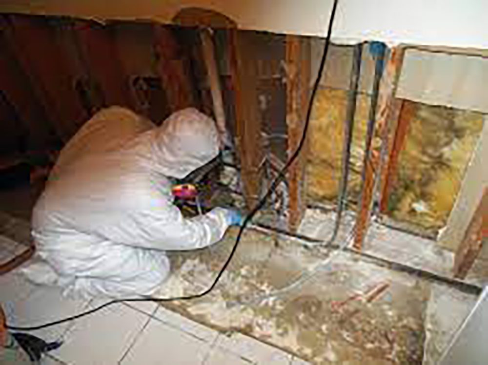 Basement Mold Cleaning Services