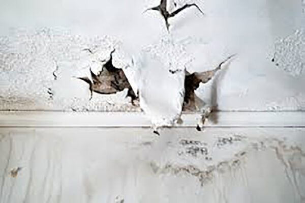 2 Bedroom Villa+Maid Mold Removal Dubai - Image 2