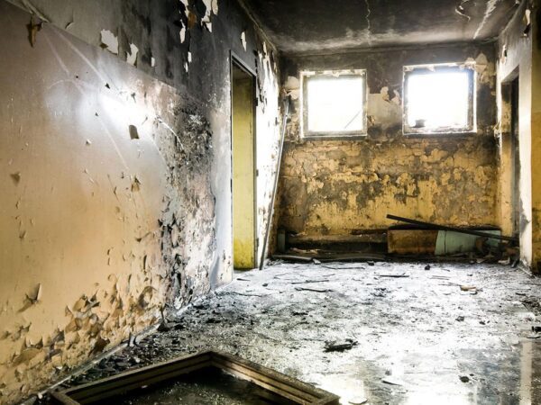 2 Bedroom Villa+Maid Mold Removal Dubai - Image 3