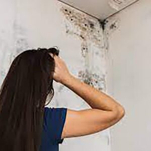 3 Bedroom+Maid Apartment Mold Removal Dubai