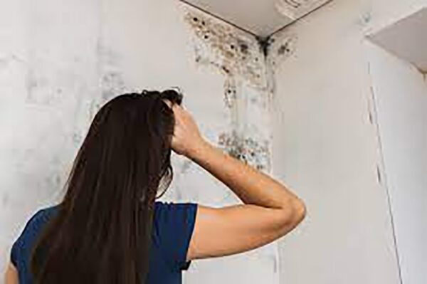 2 Bedroom Villa+Maid Mold Removal Dubai - Image 5