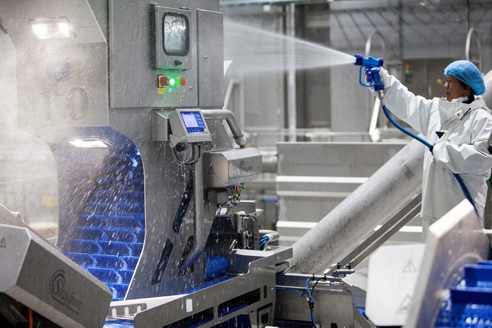 Cleaning And Disinfection In Food Industry