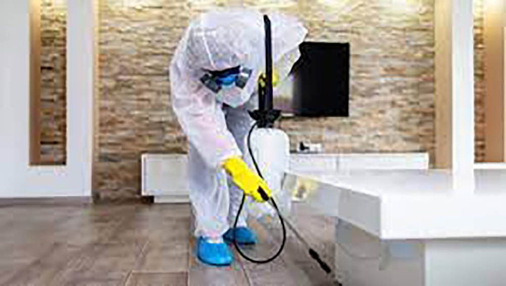 House Sanitizing Services