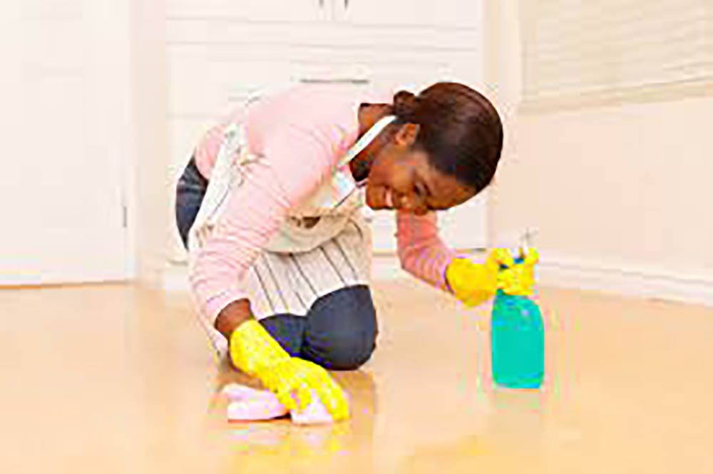 House Sanitizing Services