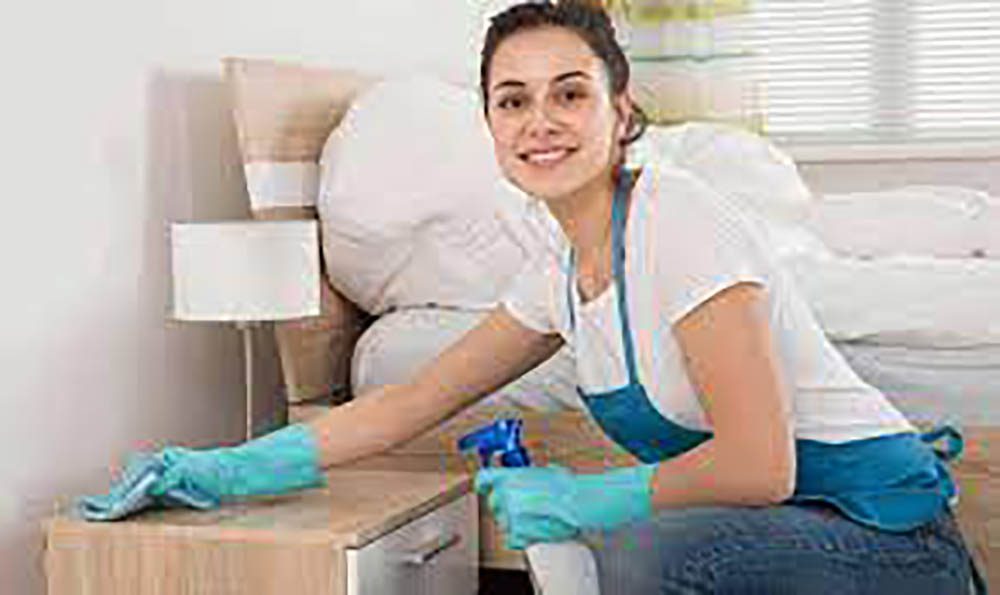 House Sanitizing Services