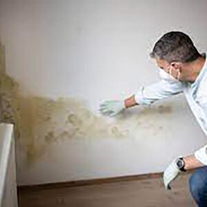 Mould Removal Dubai