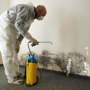 Mould Removal Dubai