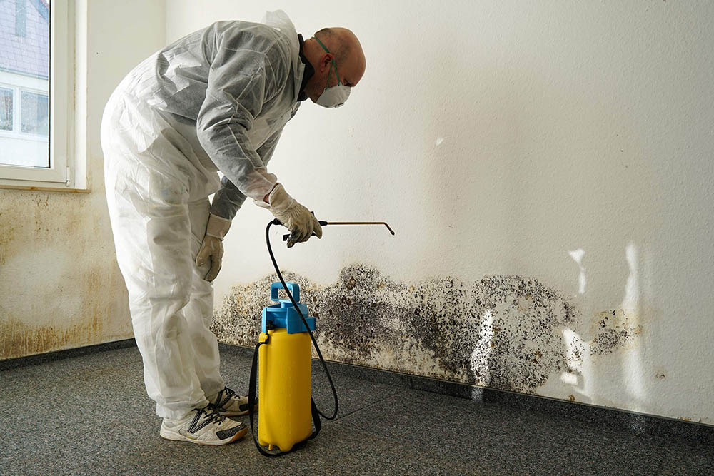 Mould Removal Dubai