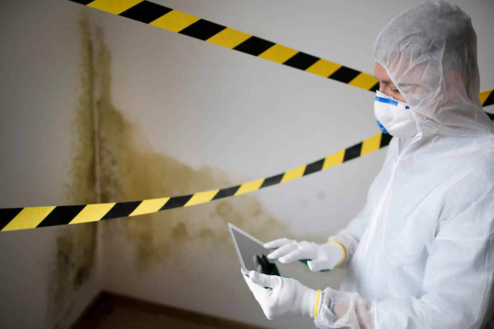 Mould Removal Dubai