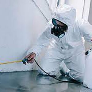 Pest Control And Cleaning Services Dubai