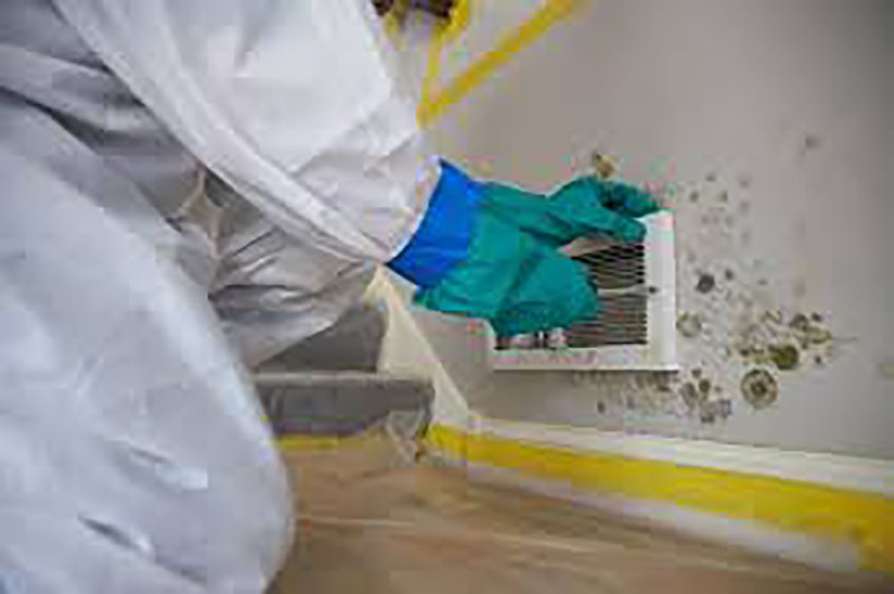 Dubai Professional Mold Remediation