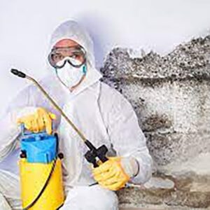 Dubai Professional Mold Remediation