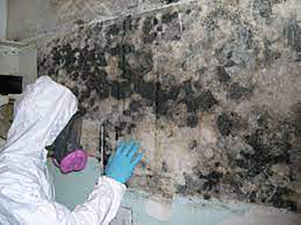 Dubai Professional Mold Remediation