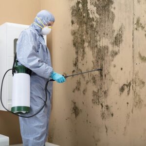 Dubai Professional Mold Remediation