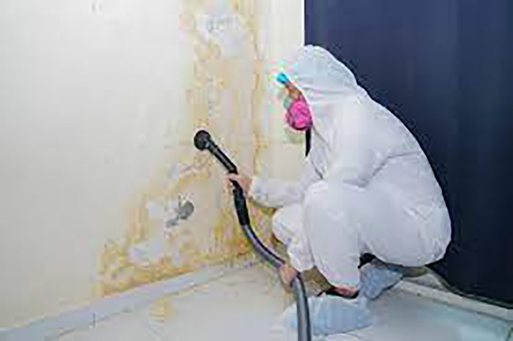 Dubai Professional Mold Remediation