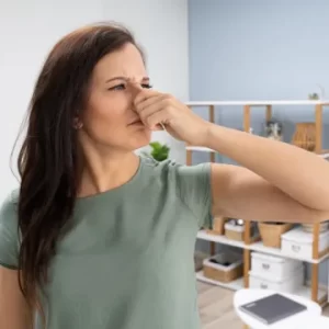3 Bedroom Villa+Maid Odor Removal Dubai