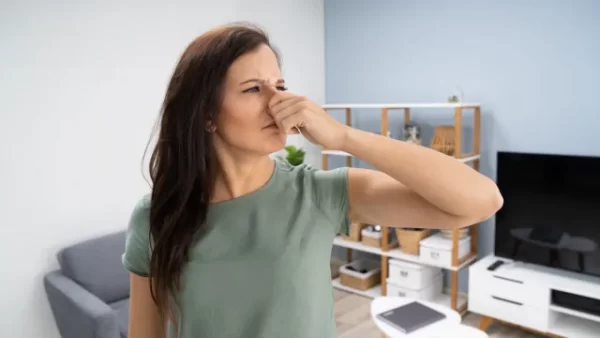 3 Bedroom Villa+Maid Odor Removal Dubai