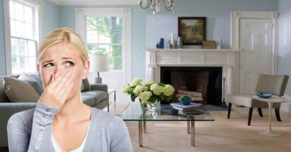 1 Bedroom Villa Odor Removal Dubai