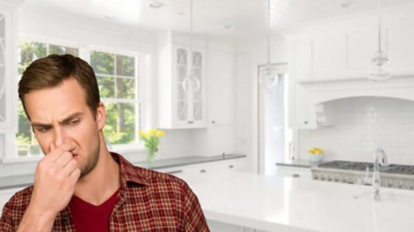 4 Bedroom Apartment Odor Removal Dubai