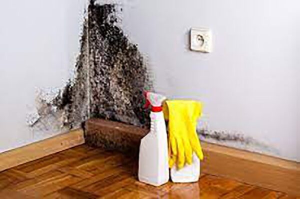 3 Bedroom Villa Mold Removal Dubai - Image 4