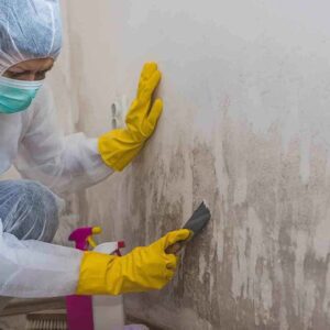 3 Bedroom Villa Mold Removal Dubai