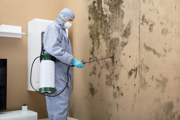 3 Bedroom Villa Mold Removal Dubai - Image 2