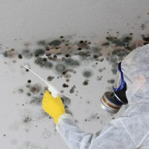 1 Bedroom Apartment Mold Removal Dubai