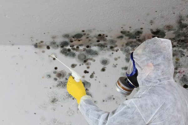 3 Bedroom Villa Mold Removal Dubai - Image 5